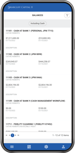 Cash Balances-Light Mode_iPhone-VR